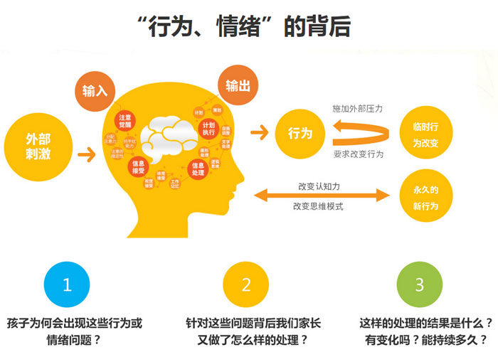 成都博沃思认知力培训机构